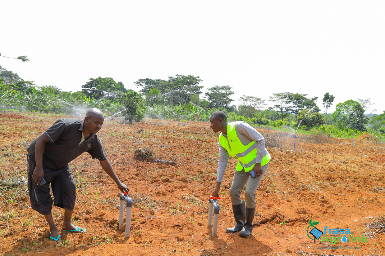 Micro scale irrigation system, Nsamu-Mpigi