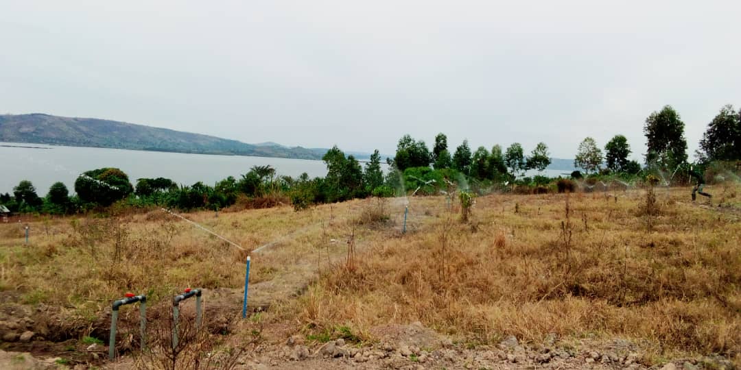 Ntovu Micro-scale Irrigation System